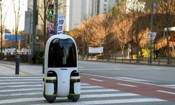 Hyundai Otonom Teslimat Robotu Geliştiriyor
