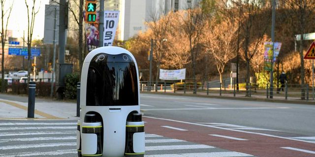 Hyundai Otonom Teslimat Robotu Geliştiriyor