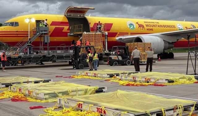 DHL’in 2025 Yılında Gerçekleştirdiği Sıra Dışı Teslimatlar