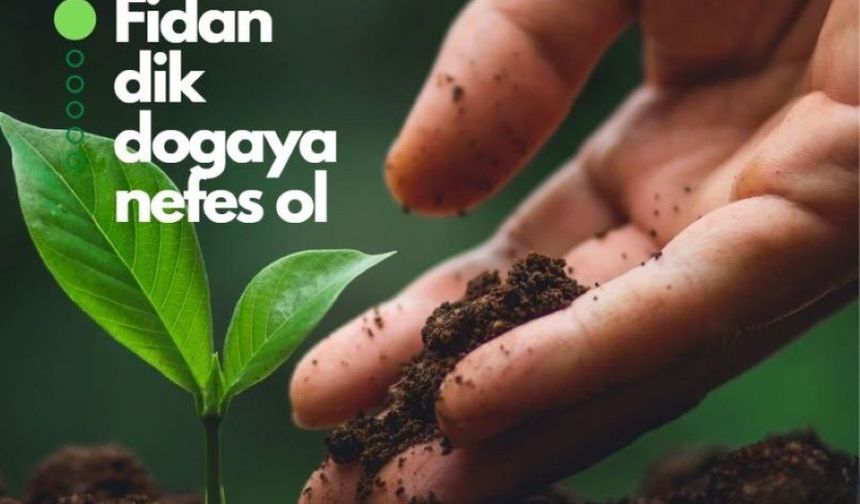Lojistik Yazılımcısı TLE’den Yangın Bölgelerine Fidan Bağışı